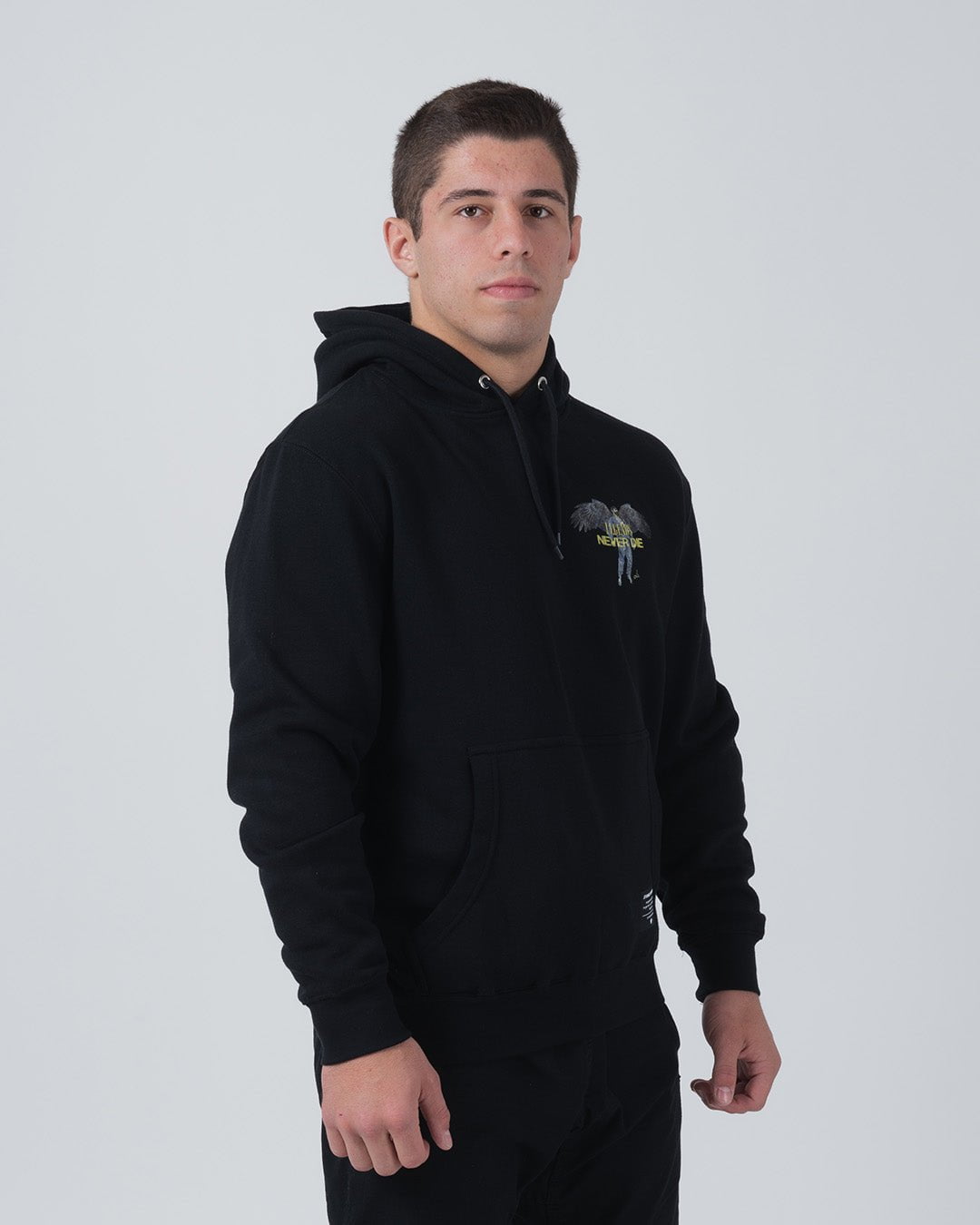 Ascend Hoodie
